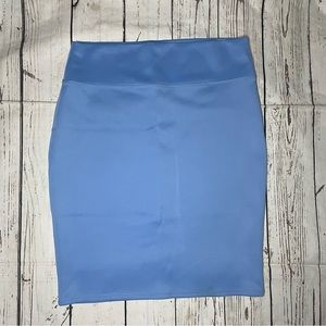 Blue pencil skirt